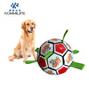 Interaktives Hunde-Fußballspielzeug