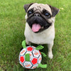 Interaktives Hunde-Fußballspielzeug